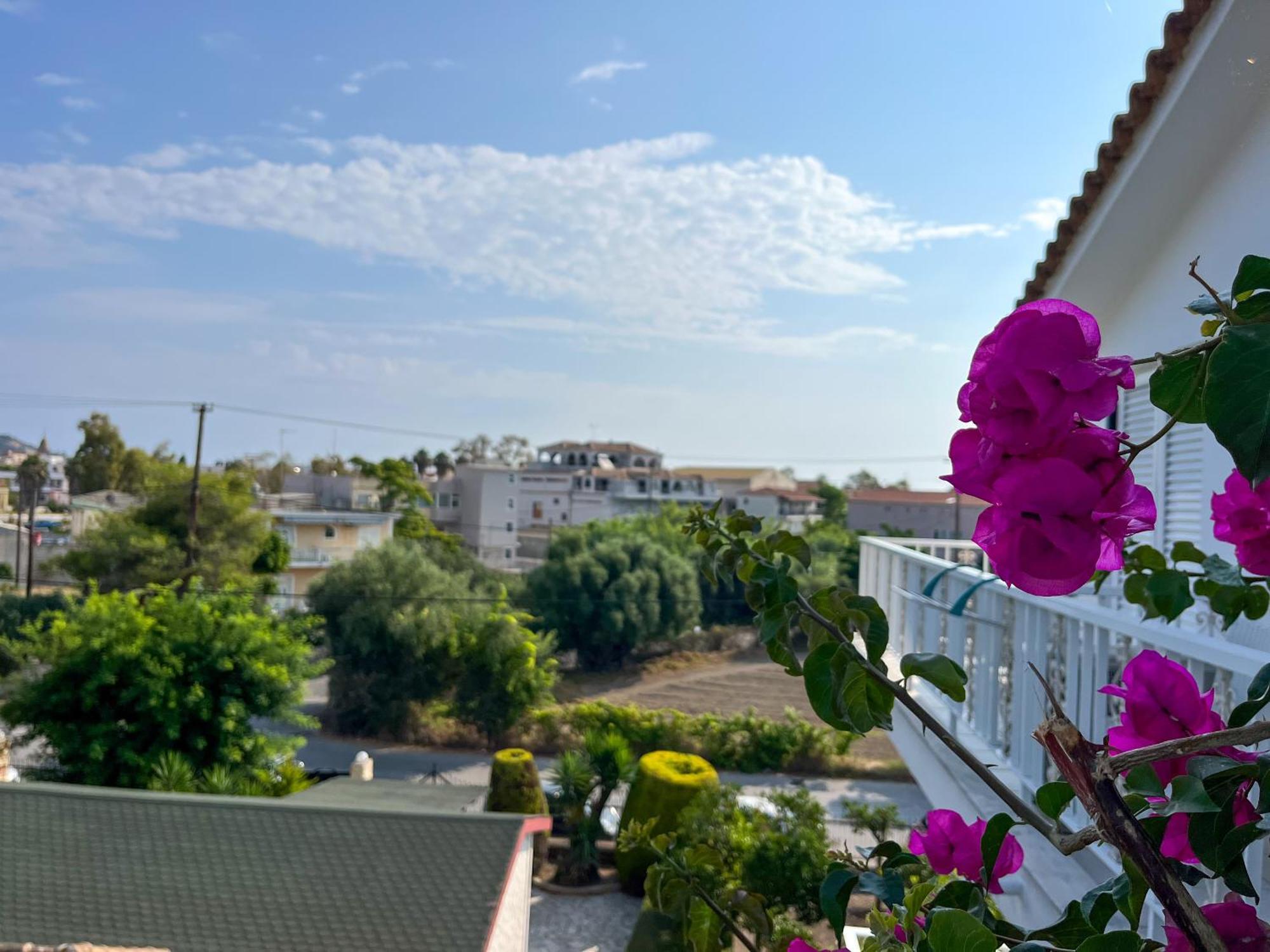 Pettas Apartments Kota Zakynthos Bagian luar foto