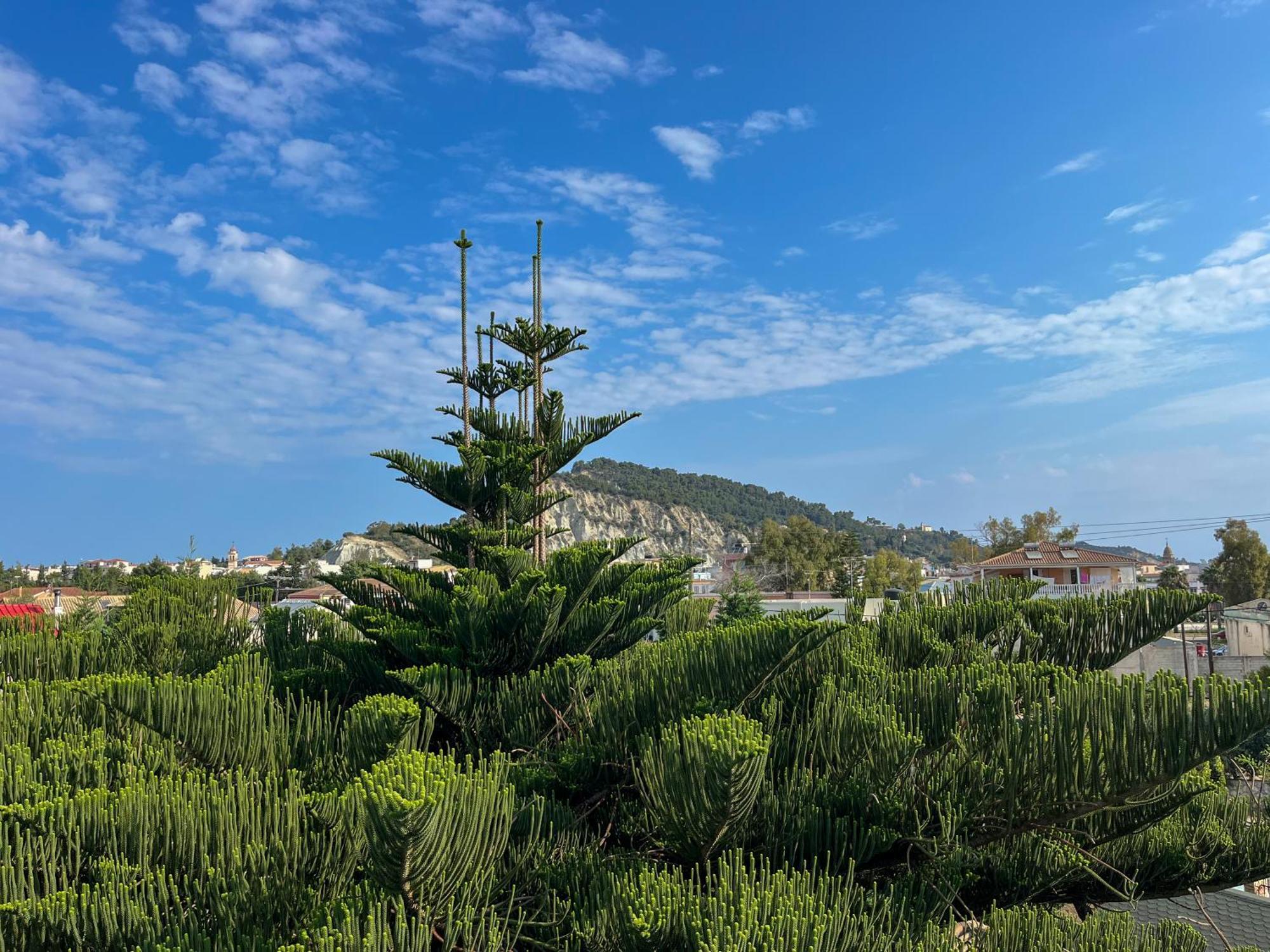 Pettas Apartments Kota Zakynthos Bagian luar foto